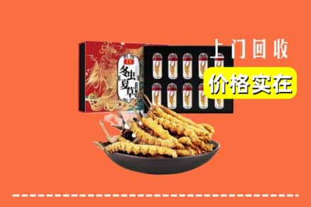 邢台市襄都回收冬虫夏草