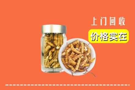 收购资讯:邢台市襄都回收散虫草