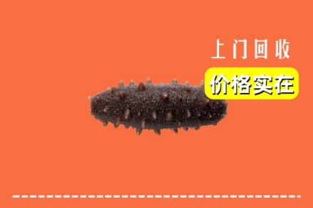 收购资讯:邢台市襄都回收海参