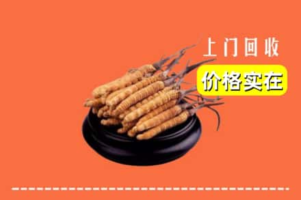 邢台市襄都回收冬虫夏草