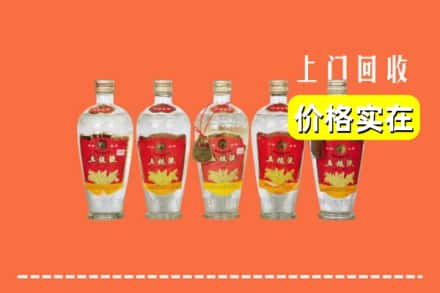 邢台市襄都回收老五粮液